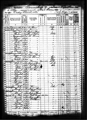 1870, Emeline Josey Spear Butler Co AL.jpg