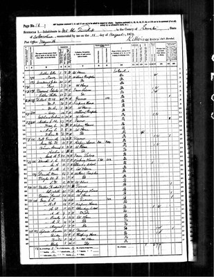 1870, George Lafayette Josey, Sumter Co SC.jpg