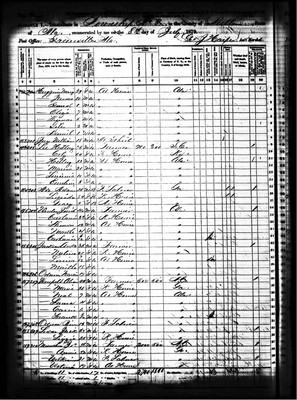 1870, Mary A Josey Huggins Butler Co AL part 2.jpg