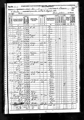 1870, Rowena Jossey Griffith, Lamar Co TX.jpg