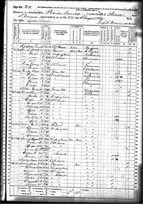 1870, Sarah Elizabeth Josey Beasley Pulaski Co AR.jpg