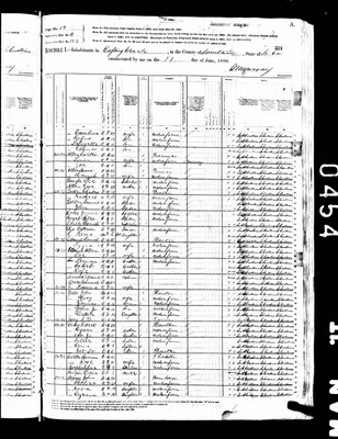 1880, Albert Burgess Josey, Sumter Co SC.jpg