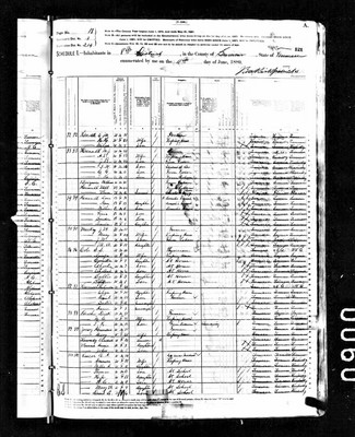 1880, Alexander C Josey, Sumner Co TN.jpg