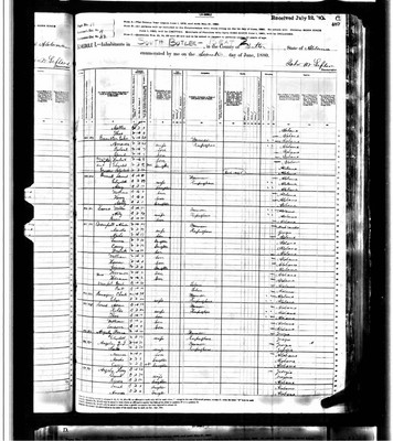 1880, Amanda Josey Banister, Butler Co AL.jpg