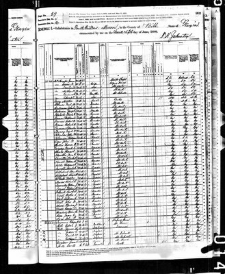 1880, Austin Josey, Bibb Co GA, col.jpg