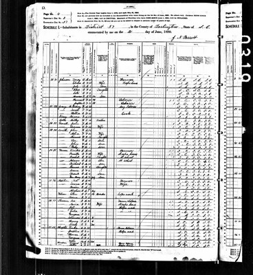 1880, Benjamin Sidney Josey, Darlington Co SC.jpg