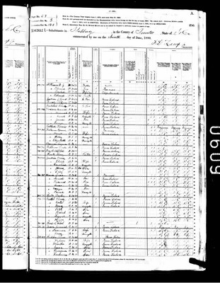 1880, Beulah Josey Atkinson, Sumter Co SC.jpg