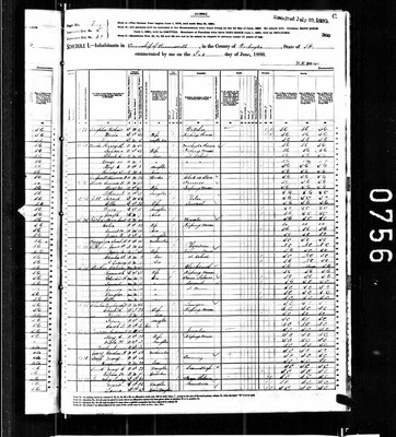 1880, Caroline A Josey, Darlington Co SC.jpg