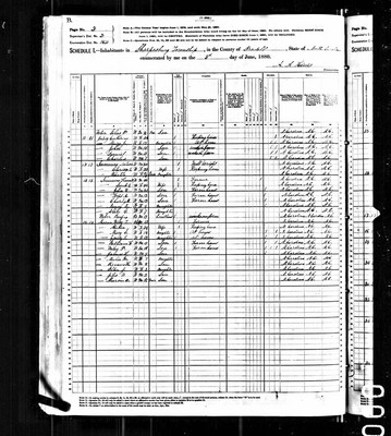 1880, Catherine Josey, Iredell Co NC.jpg