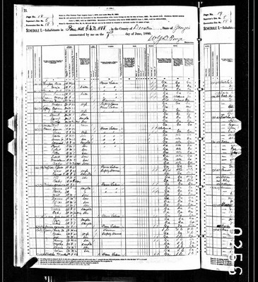 1880, Charles Wesley Josey, Decatur Co GA.jpg