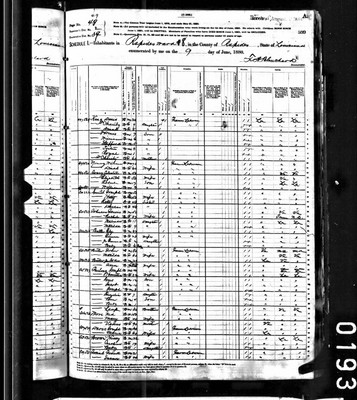 1880, Cilestan Josey B, Rapides Parish LA.jpg