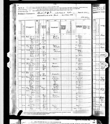 1880, Daniel Thomas Josey, Butler Co AL.jpg