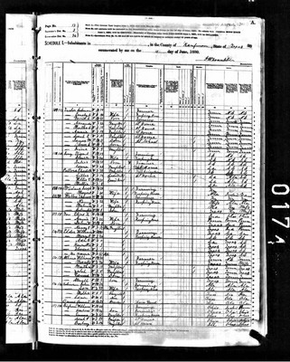 1880, Elizabeth Josey Pollard Kaufman Co TX.jpg