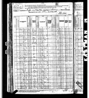 1880, Elizabeth McNath Jossey, Spalding Co GA.jpg