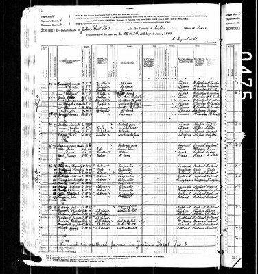 1880, Ella Josey B, Austin Co TX.jpg