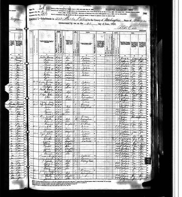 1880, Everett Josey, Washington Co GA.jpg