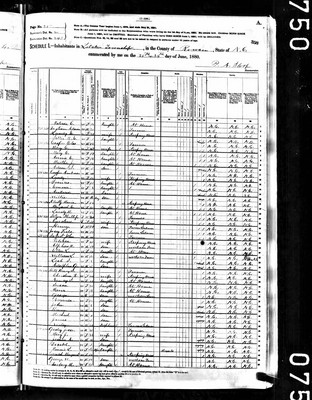 1880, Fielding Josey, Rowan Co NC.jpg