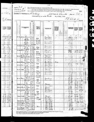 1880, George Benjamin Josey, Sumter Co SC.jpg