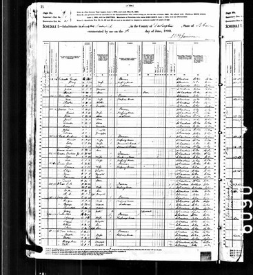 1880, George Josey, Darlington Co SC, col.jpg
