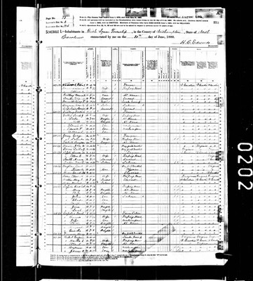 1880, George Josey, Northampton Co NC, col.jpg