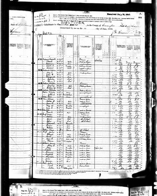 1880, Harriet Josey Cross, Covington Co AL.jpg