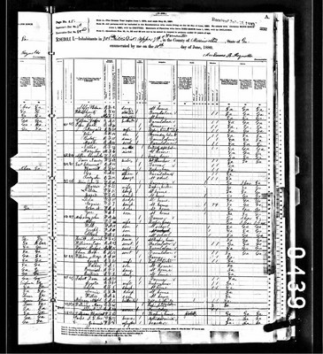 1880, Harriet Jossey Williams, Mariwether Co GA.jpg