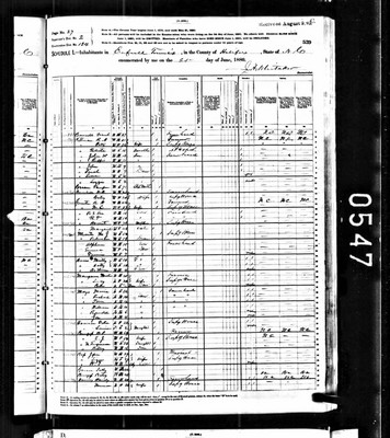 1880, Harriet L Jossey Gunter, Halifax Co NC.jpg