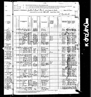 1880, Hayford Josey, Austin Co TX.jpg