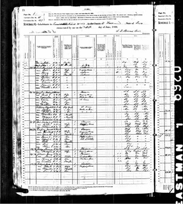 1880, Henry A Josey 1880 Walker Co TX.jpg