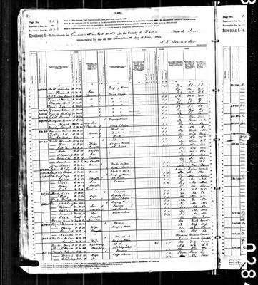 1880, Henry Josey B, Walker Co TX.jpg