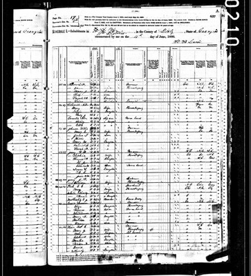 1880, Hickson M Josey, Dooly Co GA.jpg