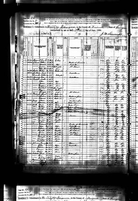 1880, Isaac Josey, Terrell Co GA, col.jpg