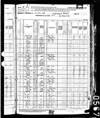 1880, Isham & Lewis Josey, Washington Co GA, col.jpg