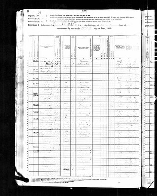 1880, James Daniel Josey, Brazos Co TX.jpg