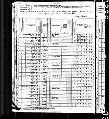 1880, Jane Josey DuBose Darlington Co NC.jpg