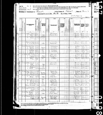 1880, Johanna Josey, Philadelphia Co PA.jpg