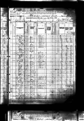 1880, John Josey B, Terrell Co GA.jpg