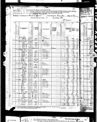 1880, Jonathan Jeremiah Josey, Covington Co AL.jpg