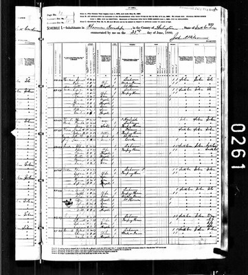 1880, Josanna Josey, Darlington Co SC, col.jpg