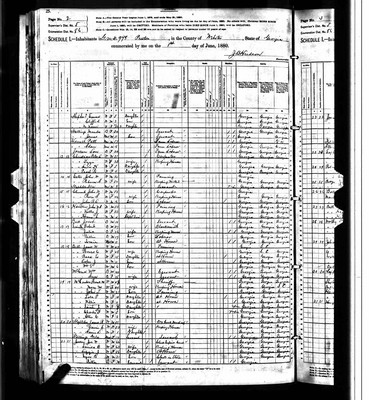 1880, Josiah Wilson Jossey, Webster Co GA.jpg
