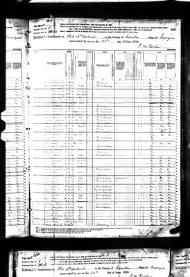 1880, Laura Josey, Sumter Co GA.jpg