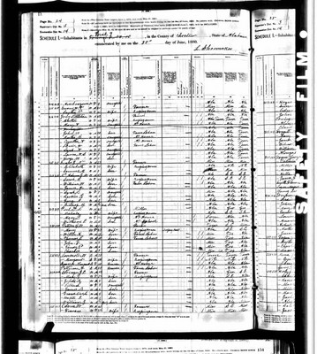 1880, Littleton Josey, Choctaw Co AL.jpg