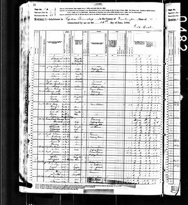 1880, Margaret Josey, Darlington Co SC.jpg