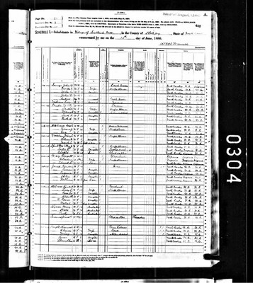 1880, Martha E Josey Savage Halifax Co NC.jpg