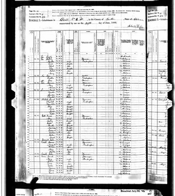 1880, Martha Josey Lee Butler Co AL.jpg