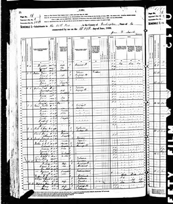 1880, Mary E Josey, Washington Co GA.jpg