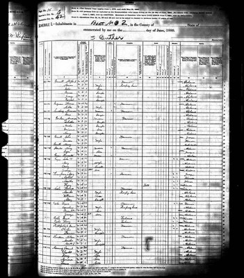 1880, Mary Josey Payne, Butler Co AL.jpg