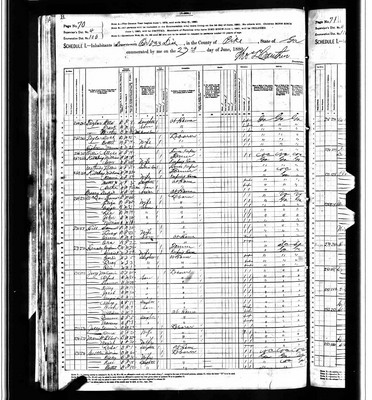 1880, Molissie Josey, Pike Co GA, col.jpg
