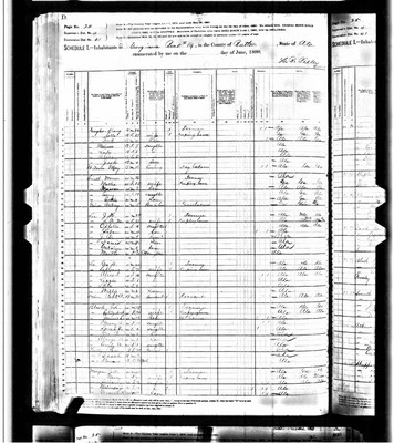 1880, Nancy Josey Lee, Butler Co AL.jpg