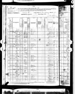 1880, Nancy Josey Solomon, Crenshaw Co AL.jpg